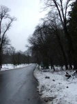 DSCF1453