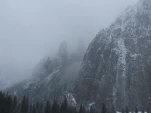 DSCF1450