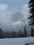 DSCF1443