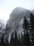 DSCF1449