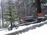 DSCF1441